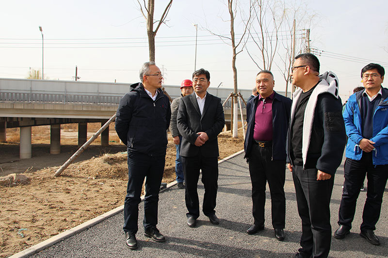 戴彬彬“四不两直”检查怀柔科学城重点工程图片